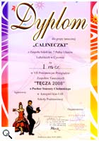 VII Powiatowy Przeglad Zespołów Tanecznych Tęcza 2008 - Siedliszcze