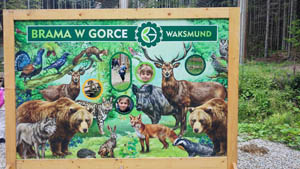 Kolonie letnie w Górach „Sport & Fun” – organizatorem INICJATYWA