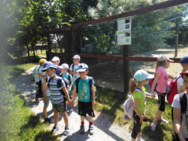 Wycieczka Mini Zoo w Wojciechowie – 6-latki