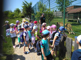 Wycieczka Mini Zoo w Wojciechowie – 6-latki