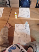 „Alpaka u Bedenaka” – wycieczka 6-latków