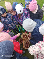 Święto darów jesieni w grupach 5-latków: „Biedronki” i „Motylki”