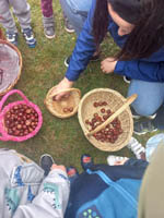 Święto darów jesieni w grupach 5-latków: „Biedronki” i „Motylki”