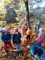 Kolory jesieni – wyprawa maluchów do lasu