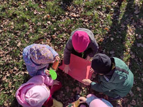 Święto darów jesieni w grupie 3-4 latków „Pszczółki”