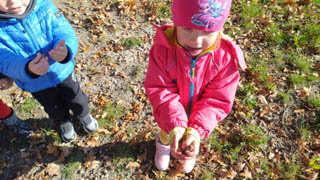 Wycieczka przedszkolaków z grupy „Pszczółki” oraz „Myszki” do lasu w Wólce Cycowskiej