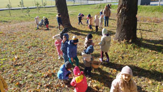 Wycieczka przedszkolaków z grupy „Pszczółki” oraz „Myszki” do lasu w Wólce Cycowskiej